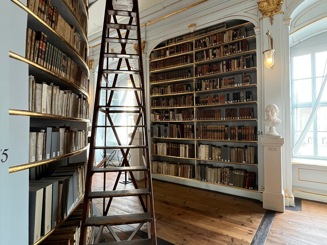 Duchess Anna Amalia Library-魏玛必去景点