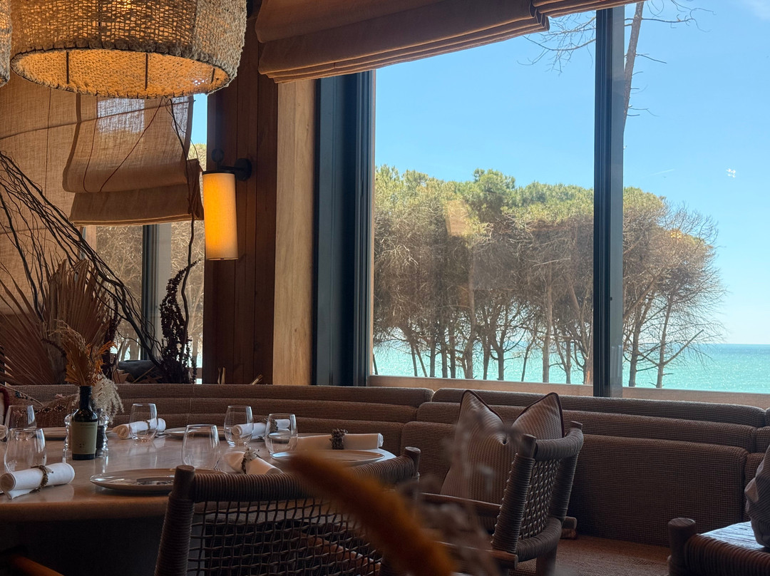 Cabana Sass