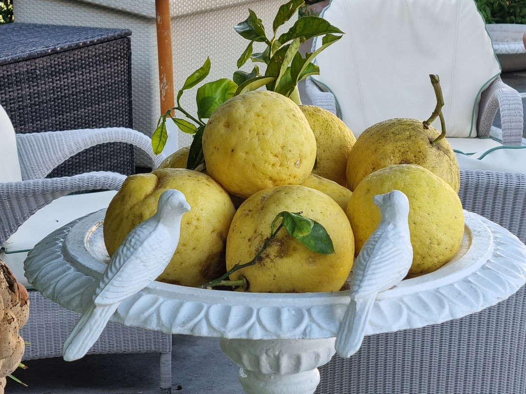 埃克斯尔帕克豪华别墅主图