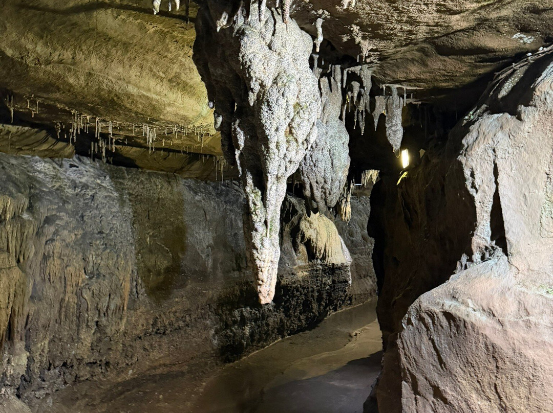 Ingleborough Cave-Clapham必去景点