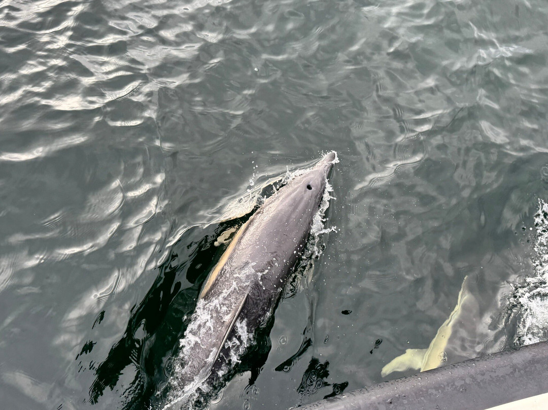 Killybegs Angling Charters-Killybegs必去景点