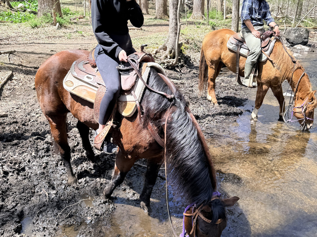 Westchester Trail Rides-Croton on Hudson必去景点