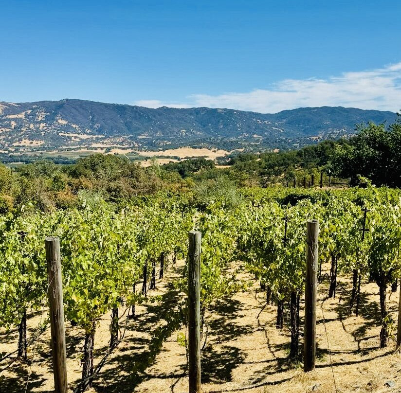 Alta Orsa Winery-Hopland必去景点