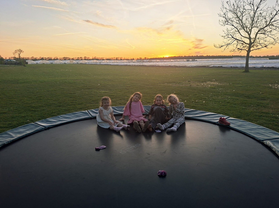Vakantieboerderij De Pionier