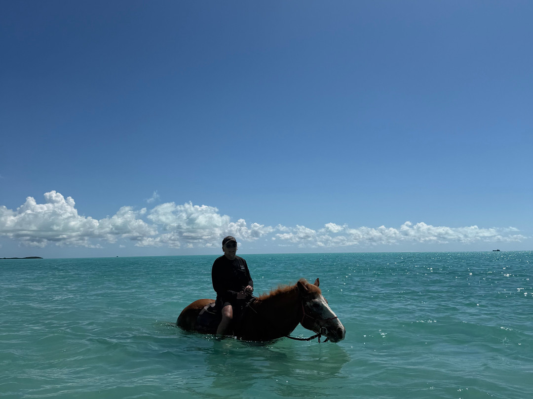 Provo Ponies-Long Bay Hills必去景点