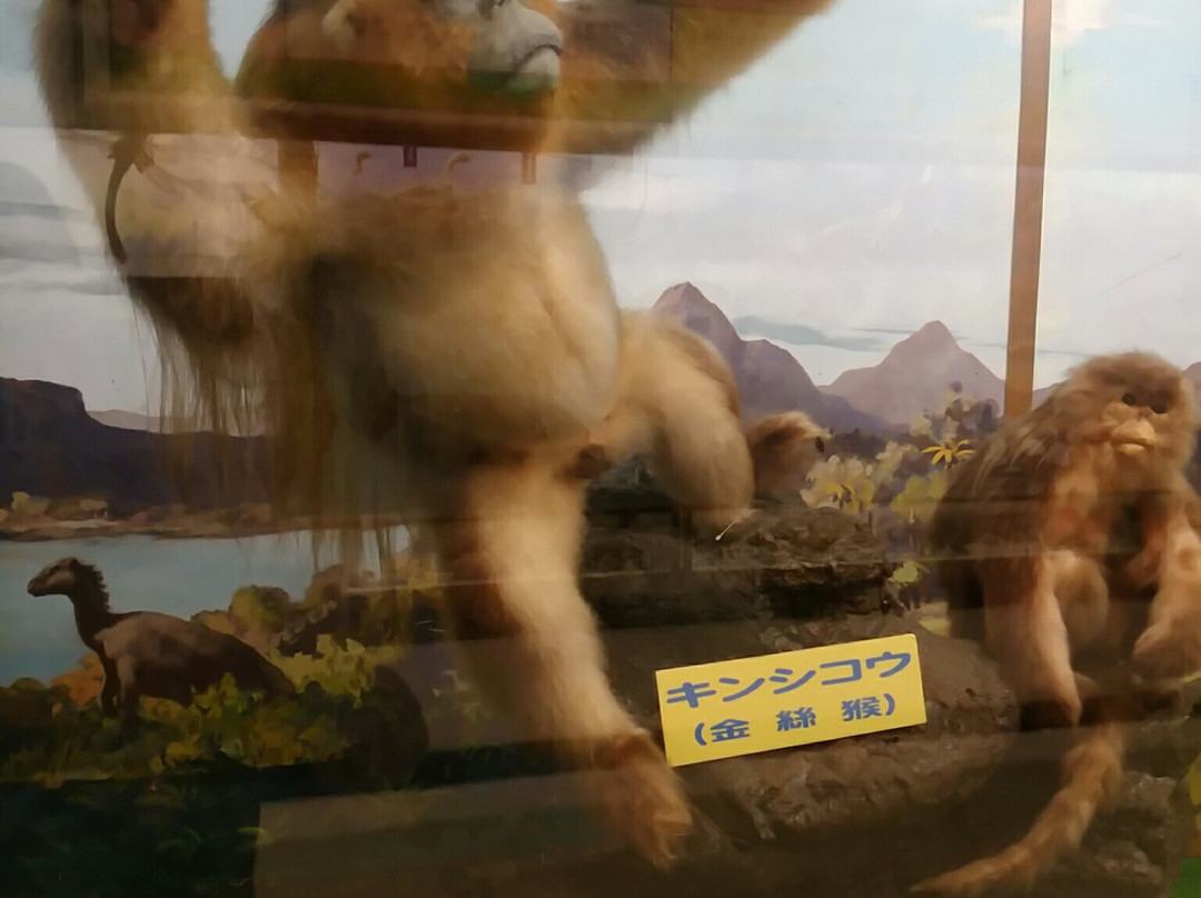 Tsuyama Nature & Mystery Museum-津山市必去景点