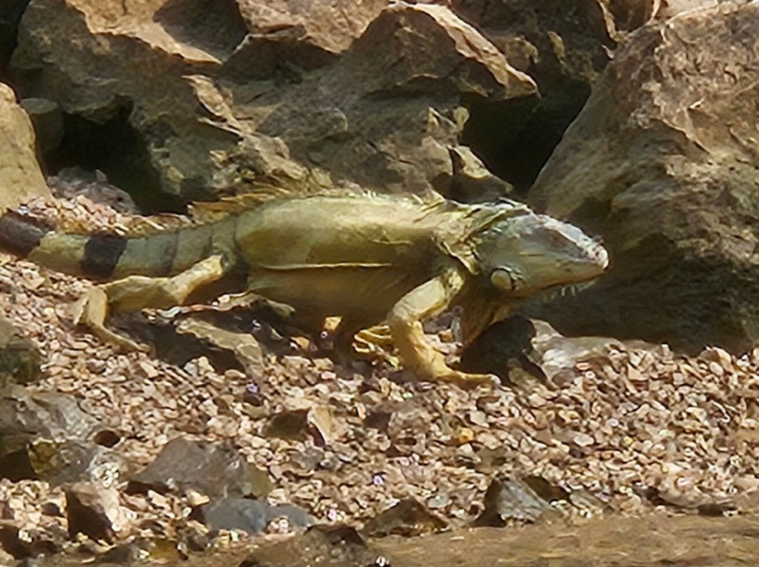 Parque Nacional Cañón del Sumidero-Chiapa de Corzo必去景点
