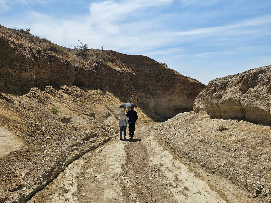 Almaty Nomads