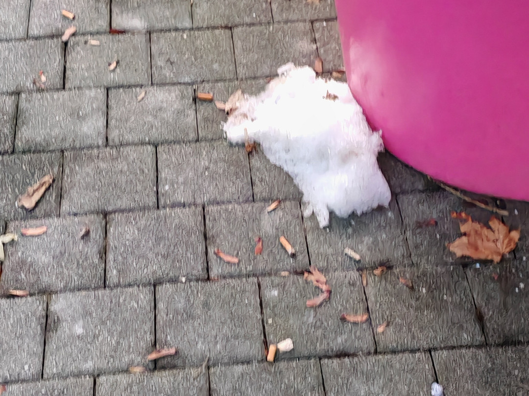 普劳恩多梅洛酒店主图