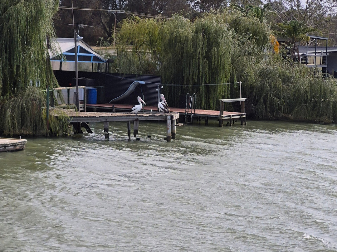 Captain Proud Paddle Boat Cruises-Murray Bridge必去景点