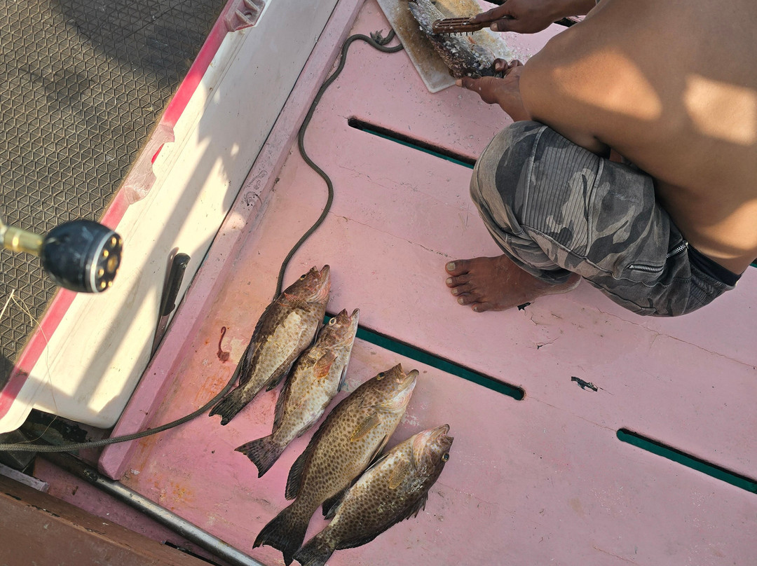 Beluga Fishing Tours-普吉岛必去景点