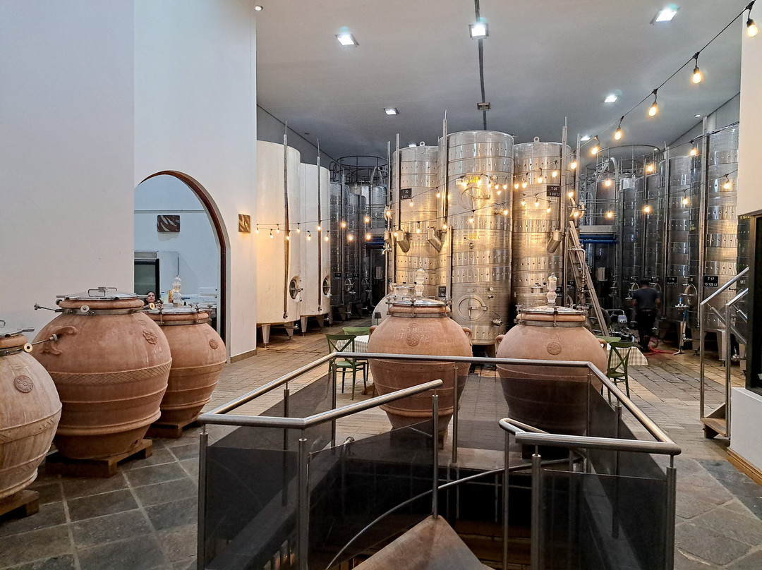 Org de Rac Organic Wine Estate-Piketberg必去景点