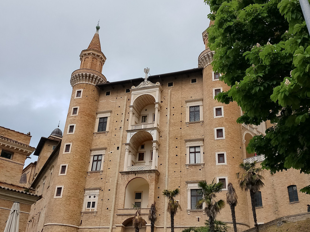 Palazzo Ducale di Urbino-乌尔比诺必去景点