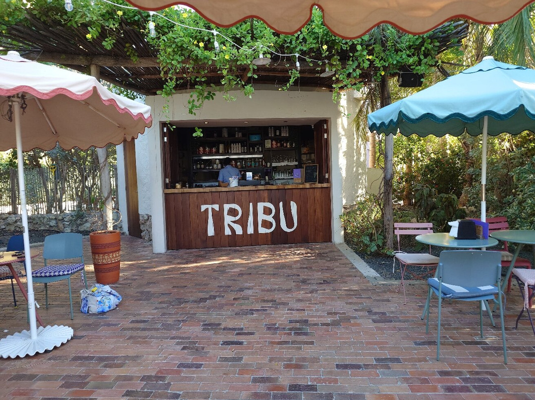 Tribu