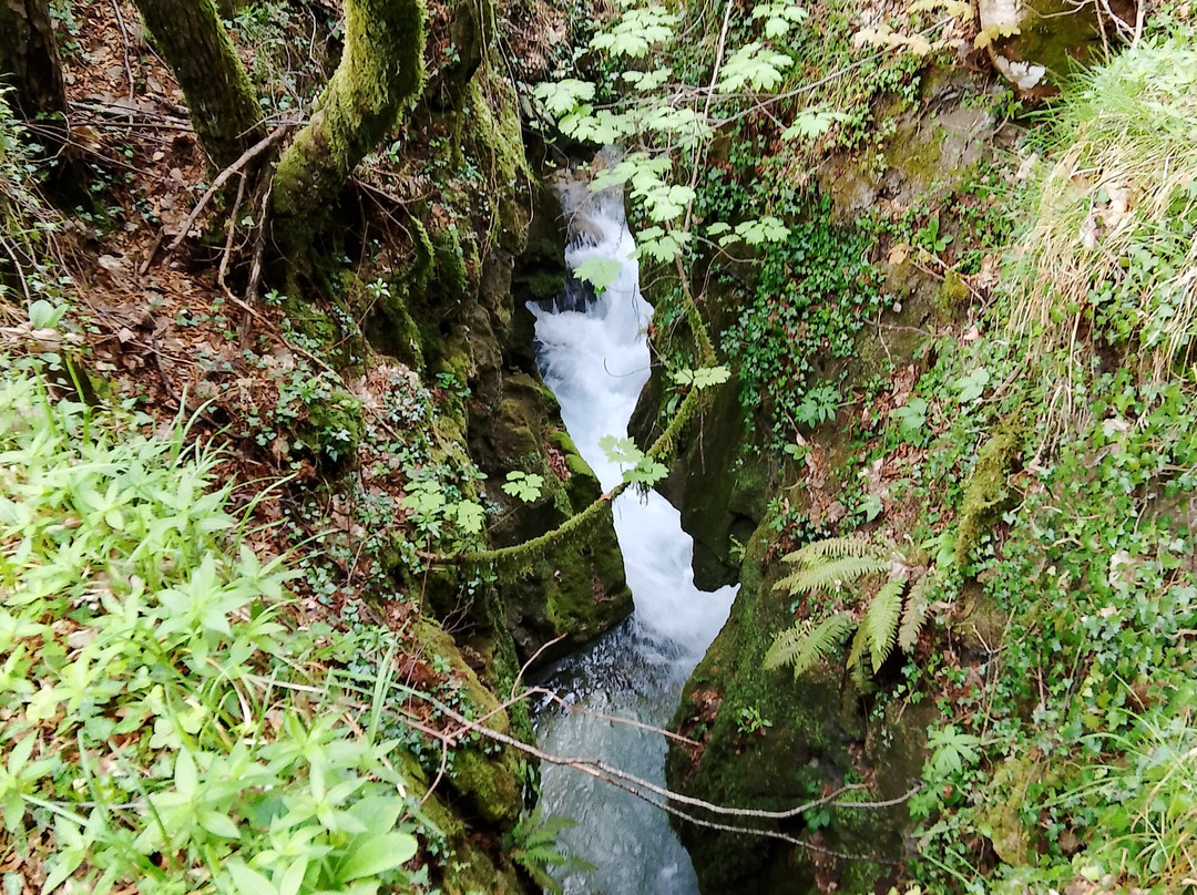 Sorgenti Di Capofiume-Collepardo必去景点