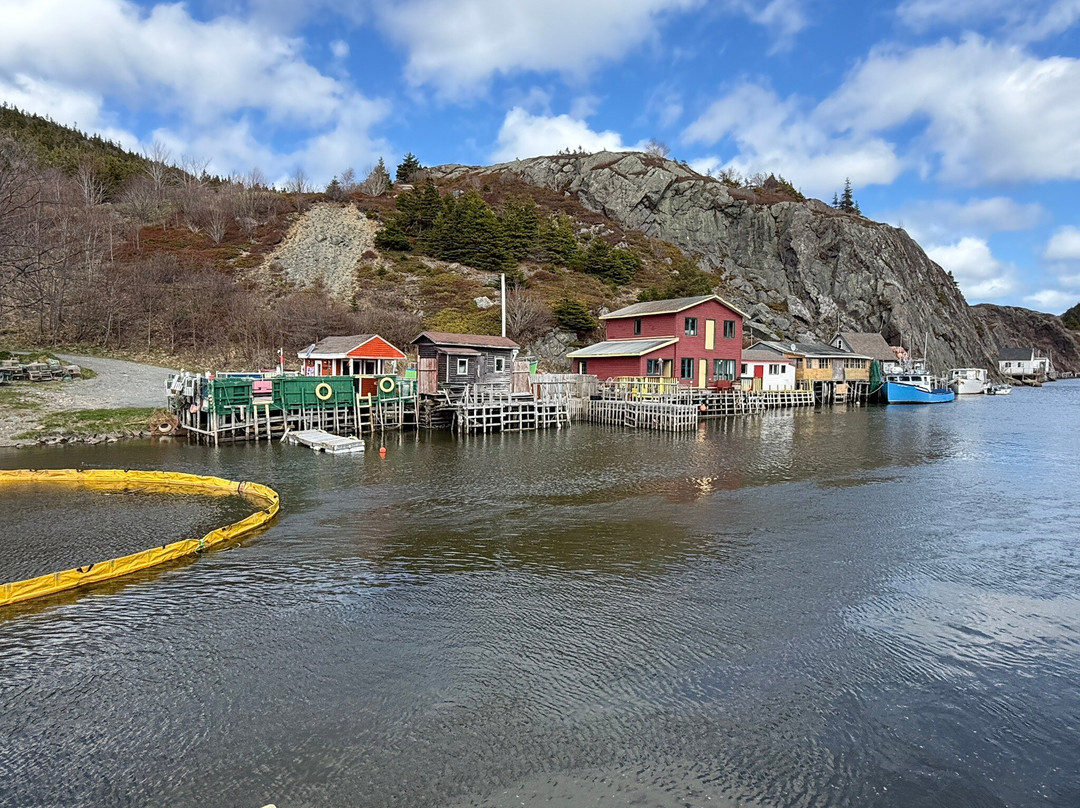 Quidi Vidi Brewery-圣约翰必去景点