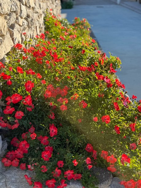 Château l'Hospitalet Wine Resort Beach & Spa-旅行者