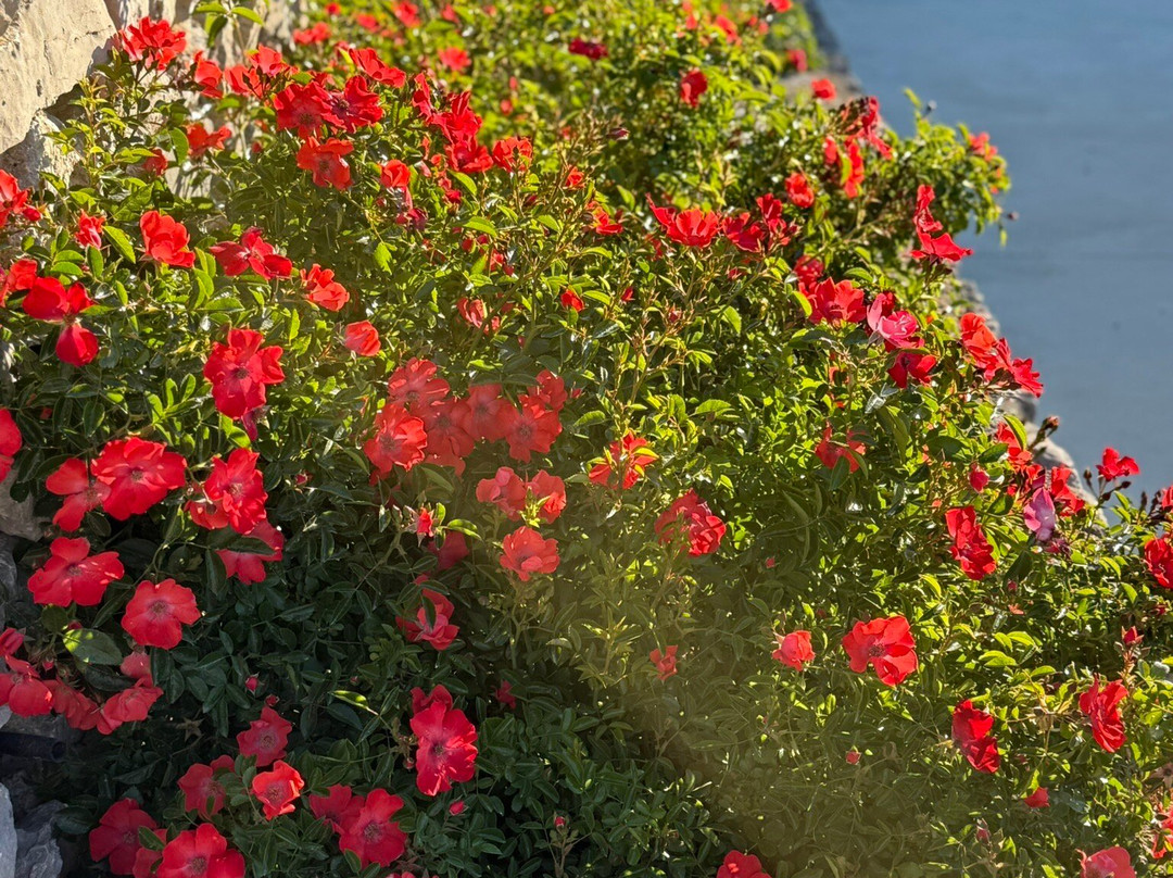 Château l'Hospitalet Wine Resort Beach & Spa主图