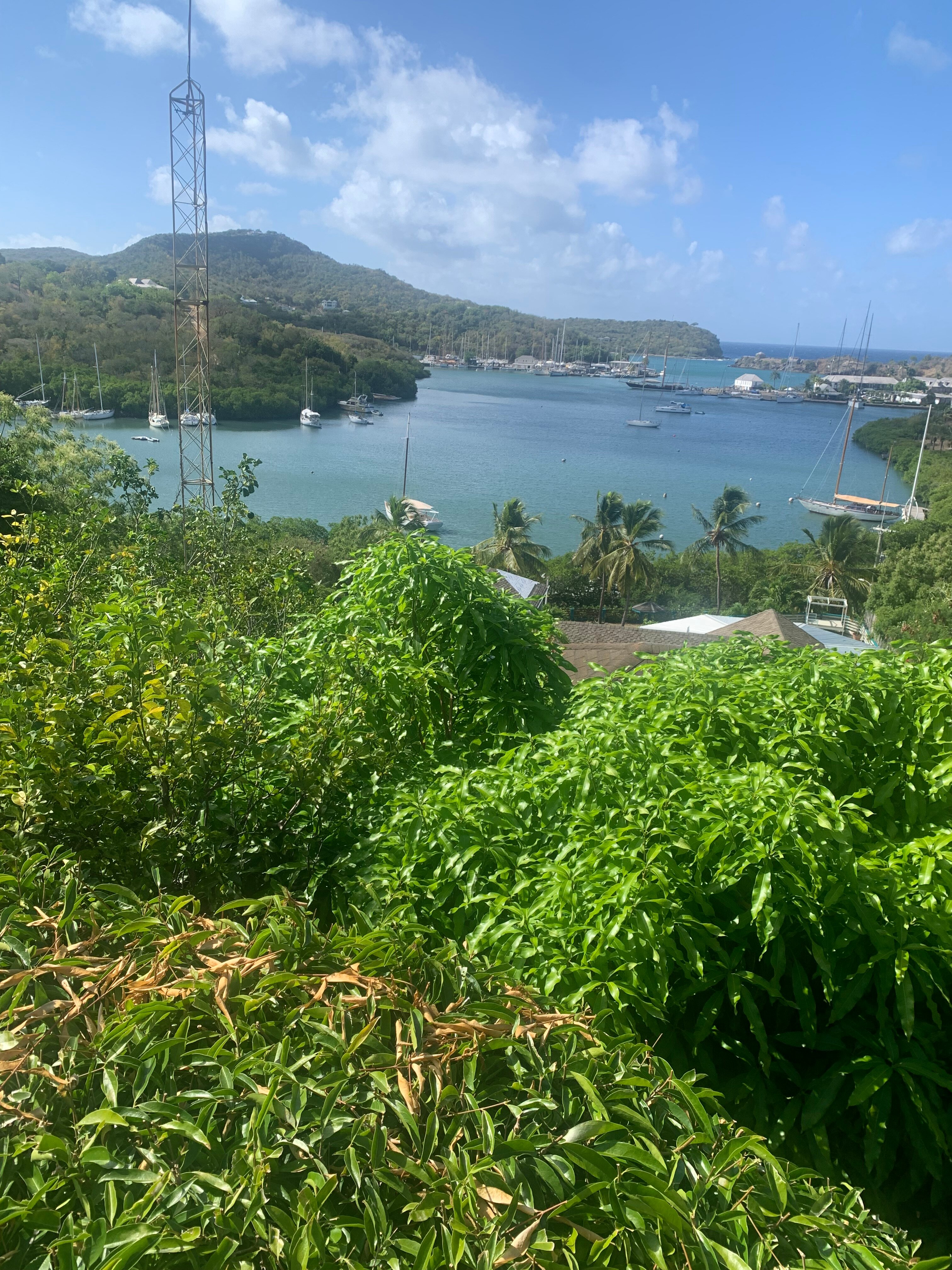 安提瓜海洋酒店-旅行者