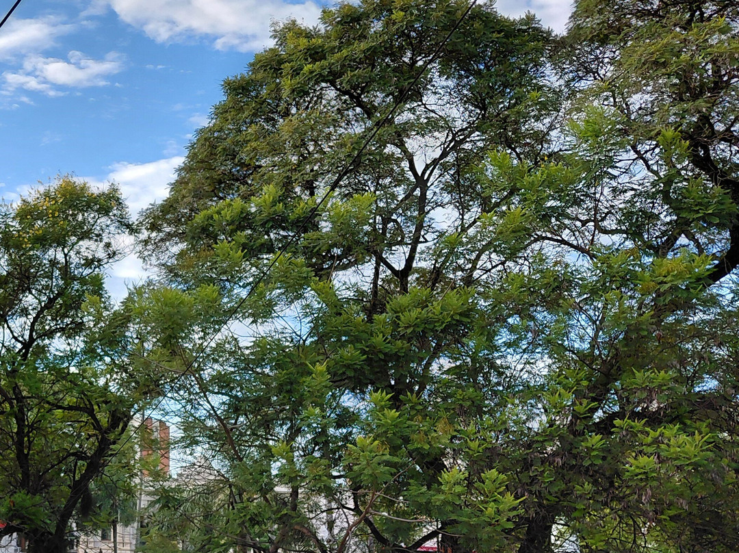 Plaza Juan de Vera-科连特斯必去景点