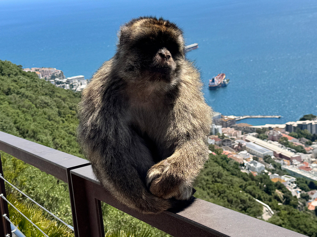 Gibraltar Taxi Association-直布罗陀必去景点