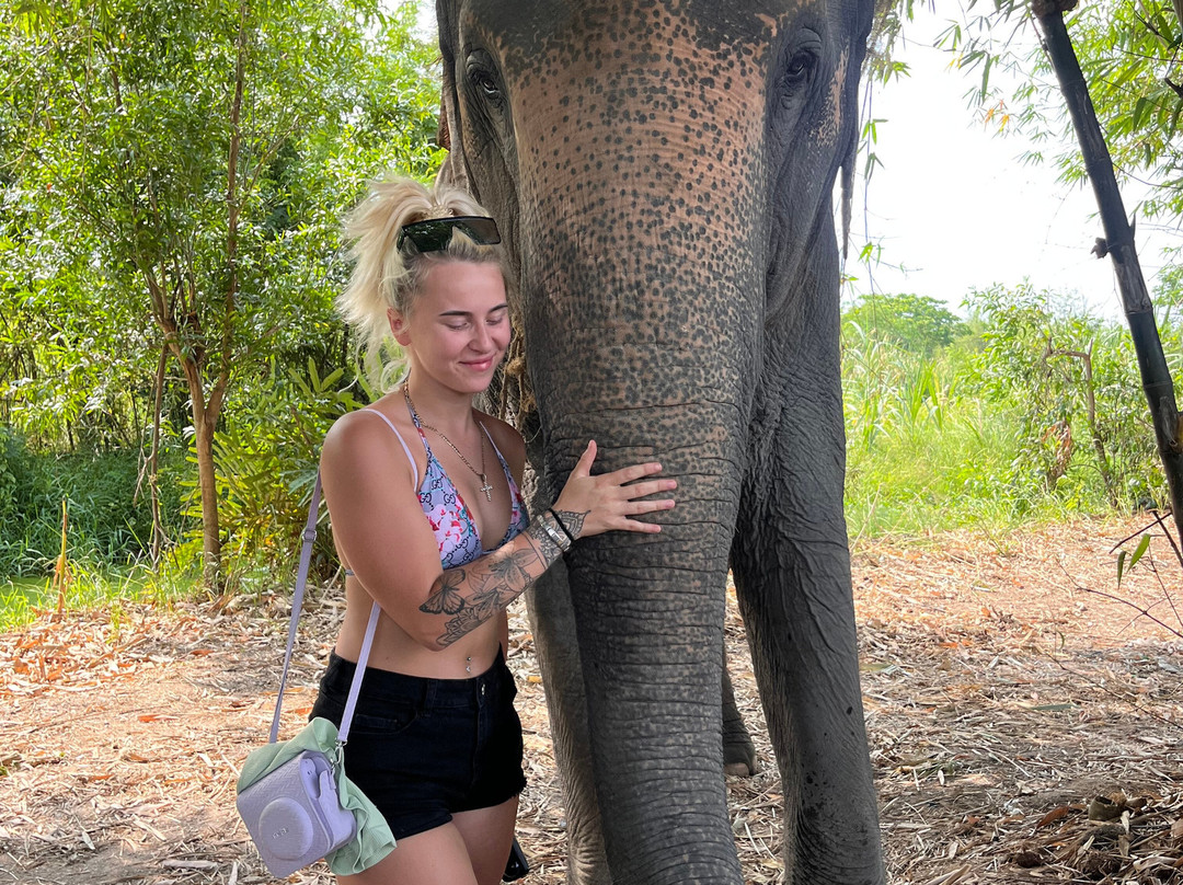 Bangkok Elephant Care Sanctuary-北碧必去景点