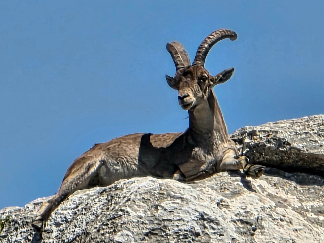 El Torcal de Antequera-安特克拉必去景点