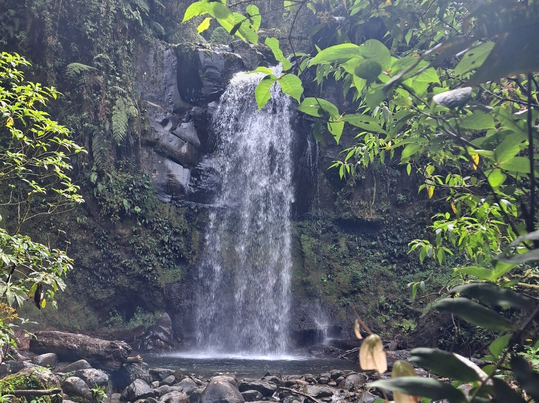The Lost Waterfalls-Boquete-波魁特必去景点