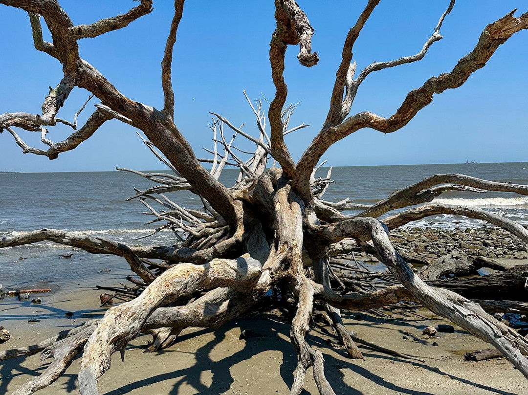 Driftwood Beach-吉柯岛必去景点