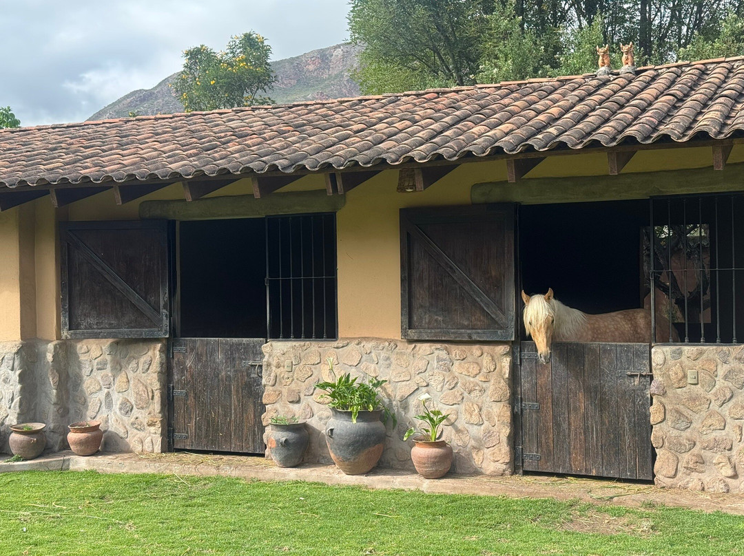 太阳与月亮山林小屋主图