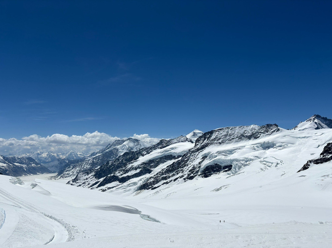 Jungfraujoch - Top of Europe-Jungfraujoch必去景点