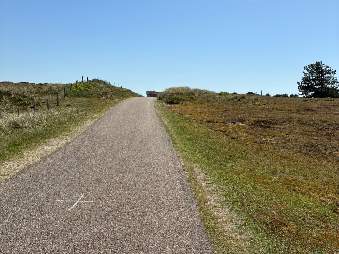 Petten aan zee