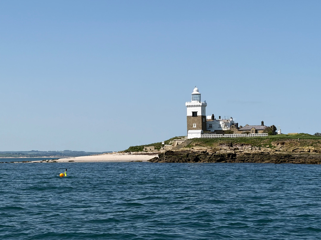 Amble boat trips-Amble必去景点