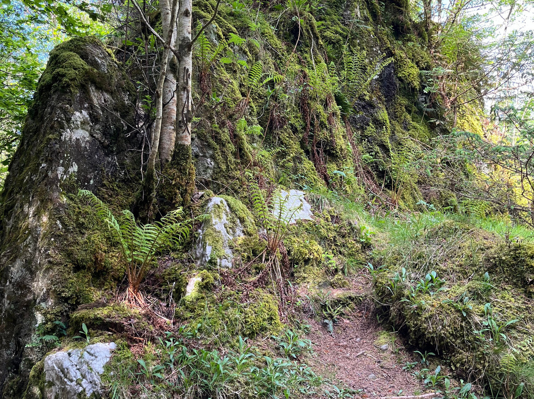 Signal Rock and An Torr-威廉堡必去景点