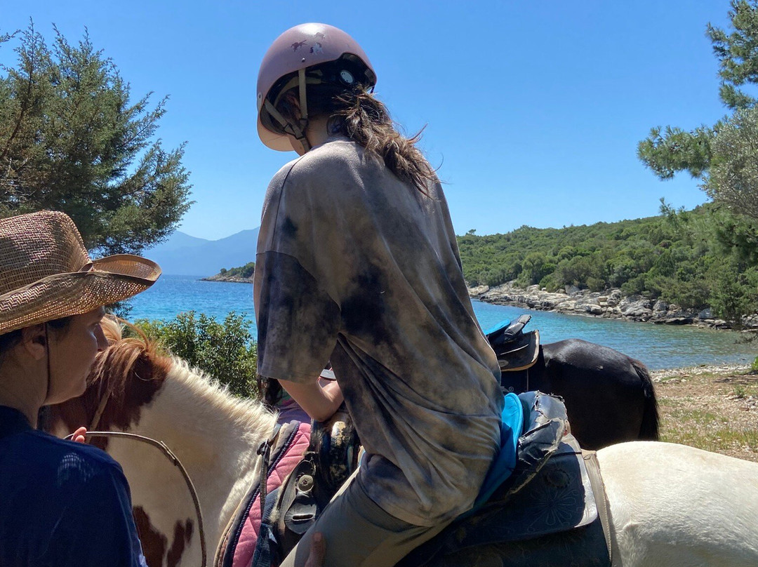 Panouris Ranch-Samos Town必去景点