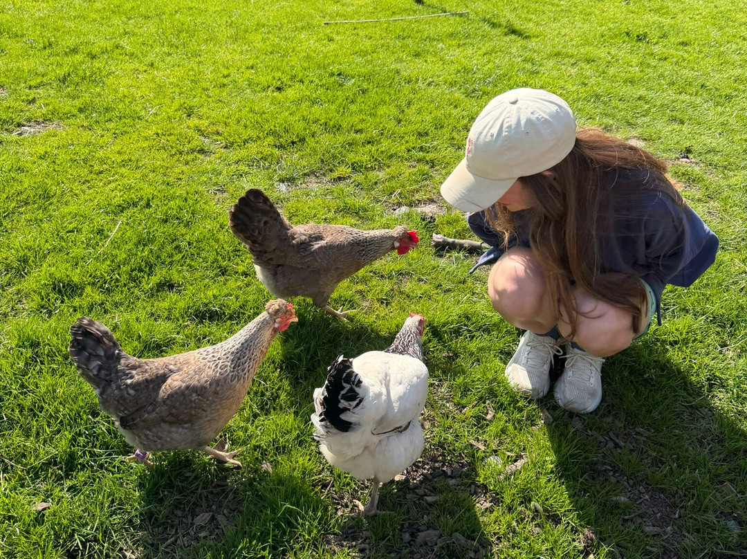 Cragg House Farm-Buttermere必去景点