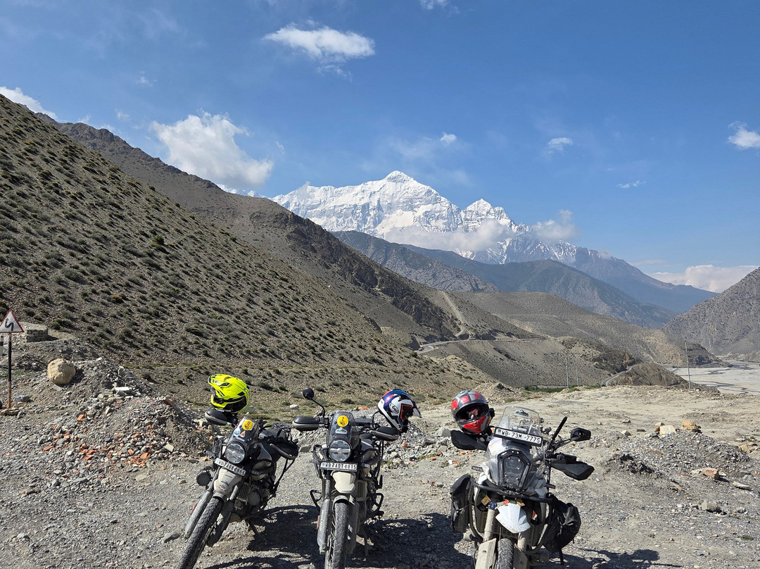 Brahmand Tour-Palampur必去景点