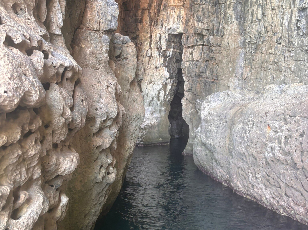 Glass Bottom Boat Trip-Pefkos必去景点