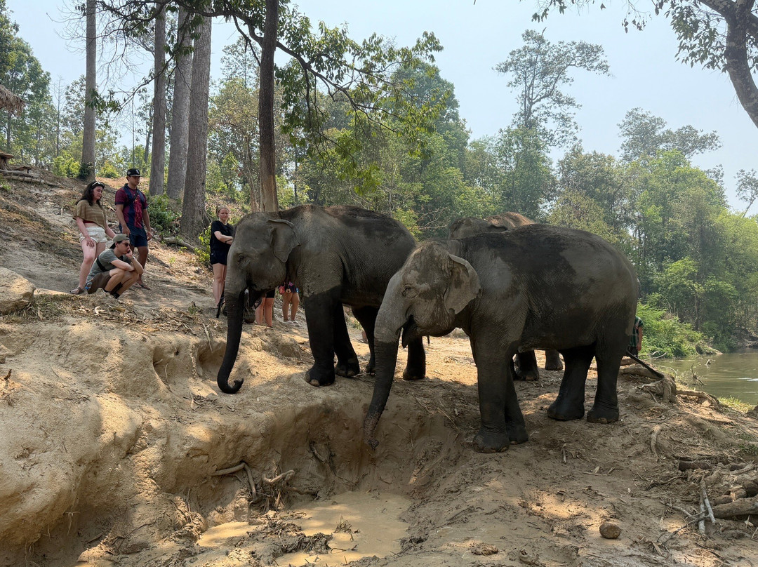 Pon Elephant Thailand-Mae Win必去景点