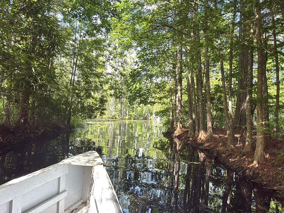 Cypress Gardens-蒙克斯科纳必去景点