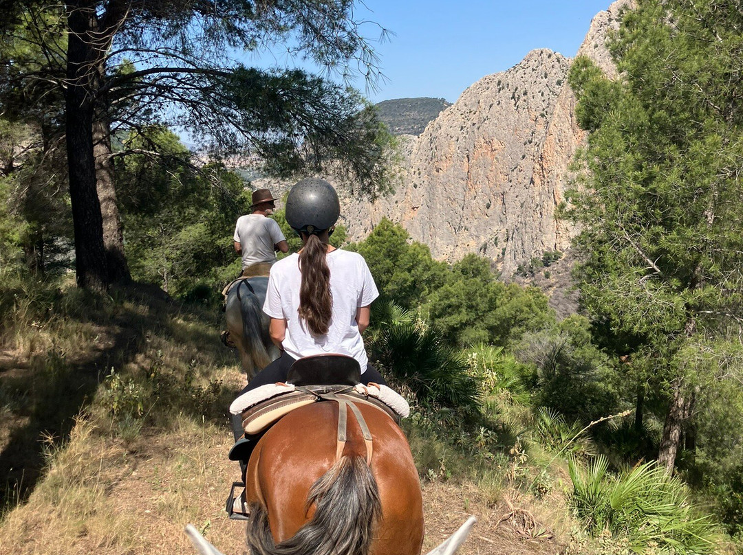 Horse Riding El Chorro-El Chorro必去景点