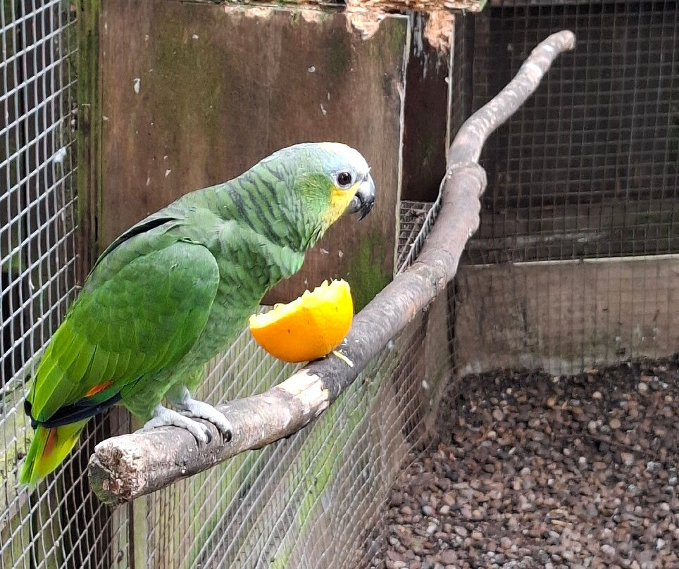 Tropical Birdland-Desford必去景点