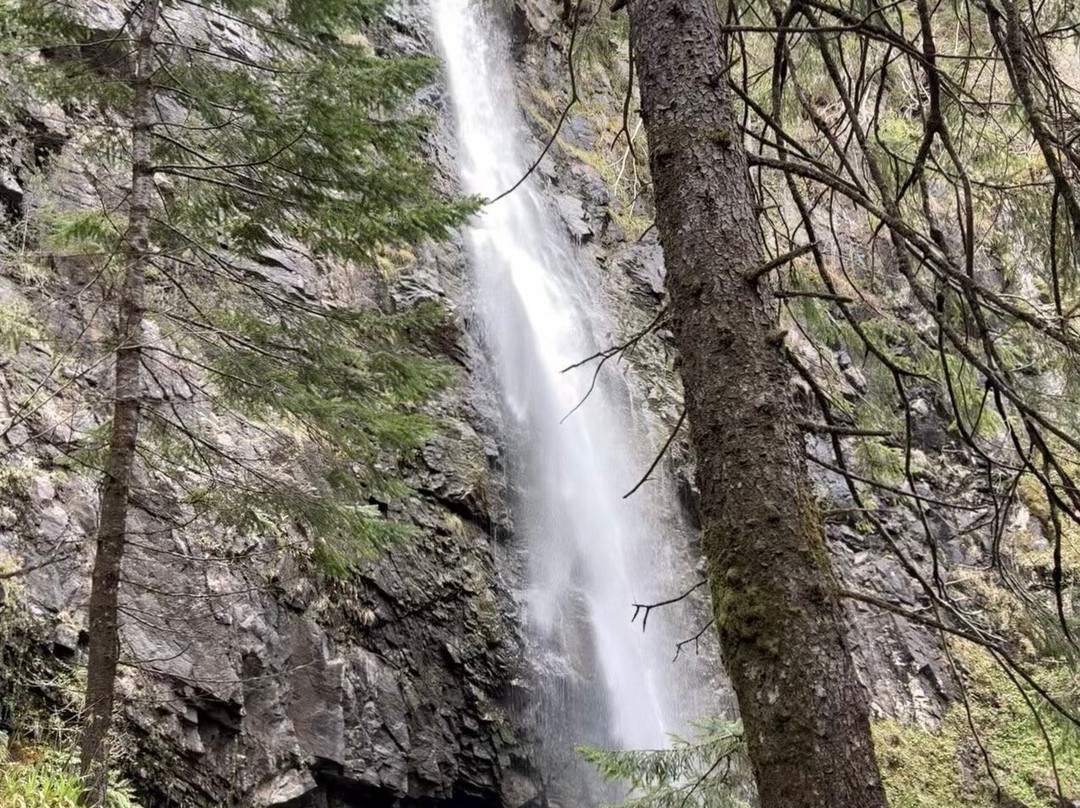 Glen Affric National Nature Reserve-Cannich必去景点