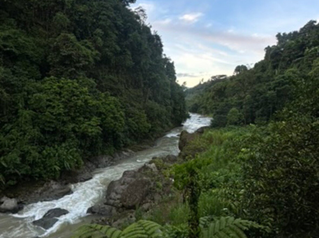 Rainforest Discovery-La California必去景点