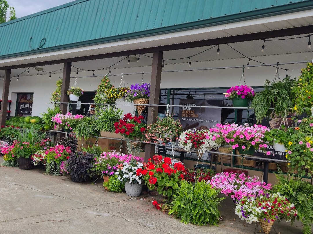 Walnut Leaf Country Market
