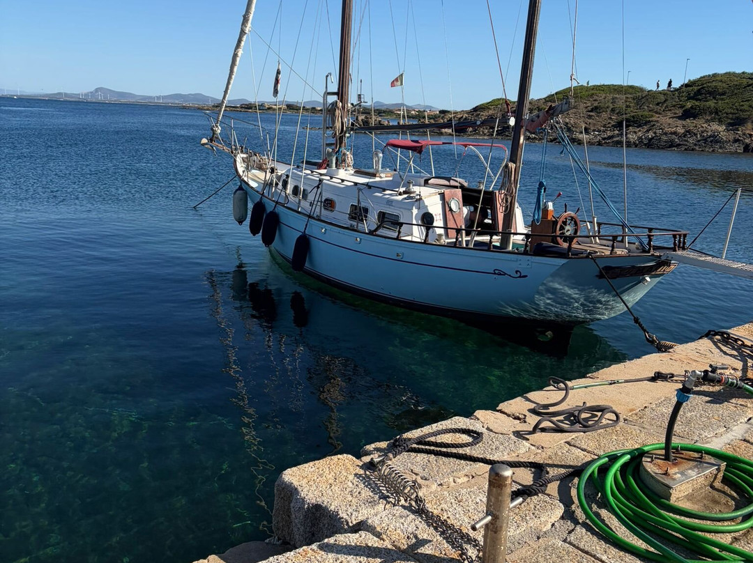 Sardinia wild experience-Asinara必去景点