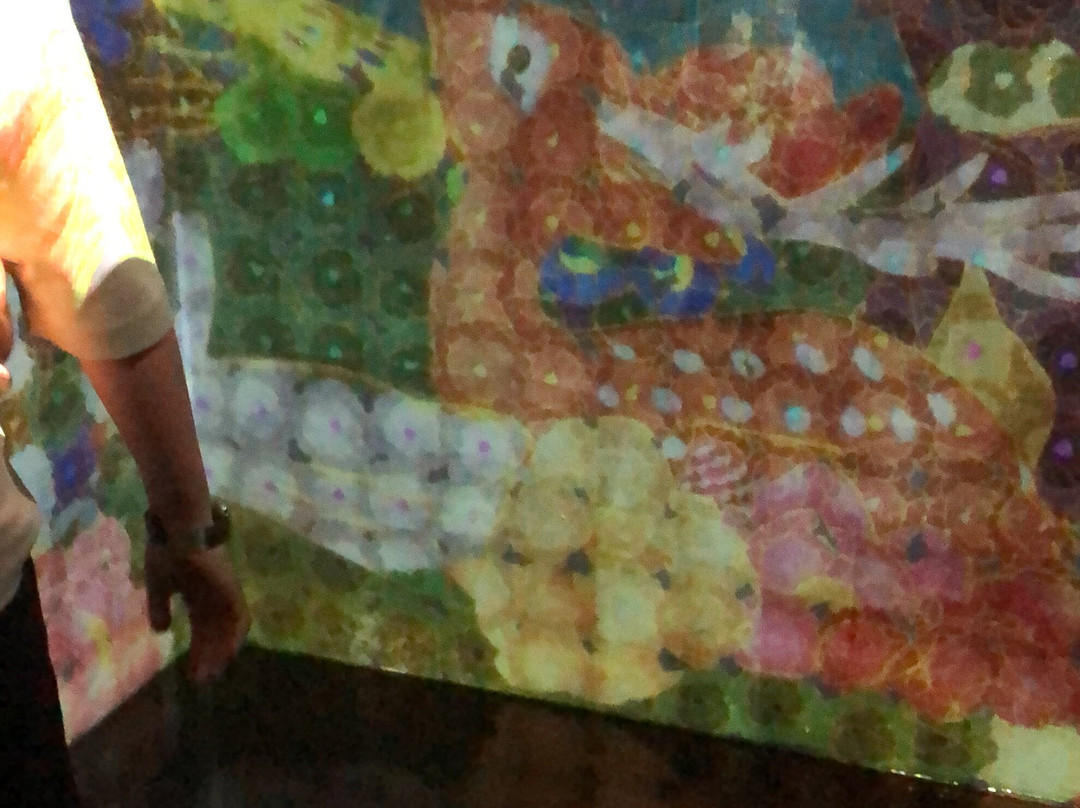 Teamlab Borderless Tokyo-港区必去景点