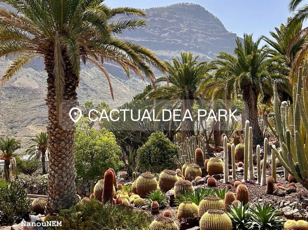 Cactualdea Park-San Nicolas必去景点