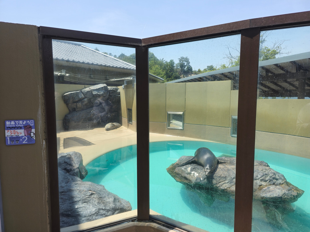 Miyajima Public Aquarium-廿日市市必去景点