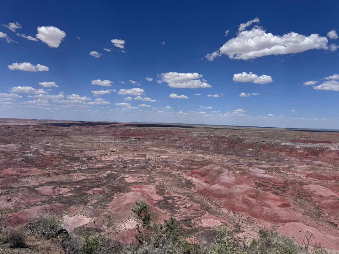 Painted Desert-石化林国家公园必去景点